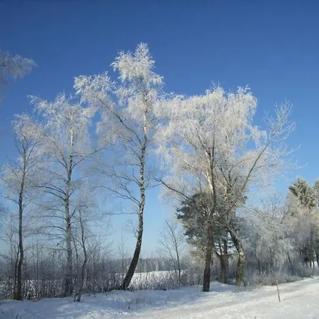 Summer Sun House Comfortable *